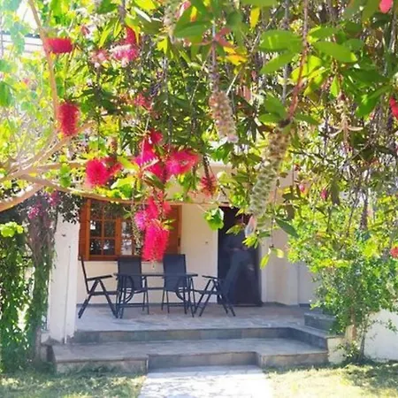 Greek Village Life By The Sea Marathiás Exteriér fotografie