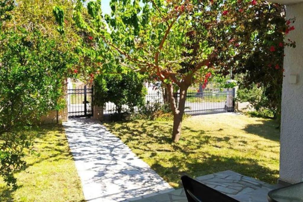 Greek Village Life By The Sea *